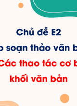 Chủ đề E2 - Bài 6 Các thao tác cơ bản với khối văn bản